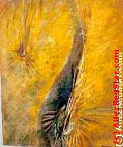 Moussa Diop Samba Laye