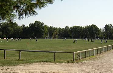 Fontainebleau - Red Star