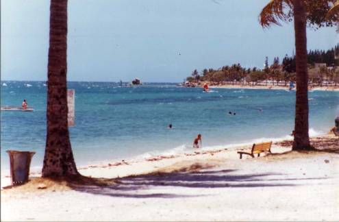 Coupe de France, 1983
