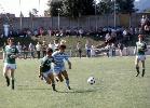 COUPE DE PARIS 1981: PHOTO REPORTAGE