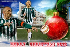 HAPPY CHRISTMAS 2012